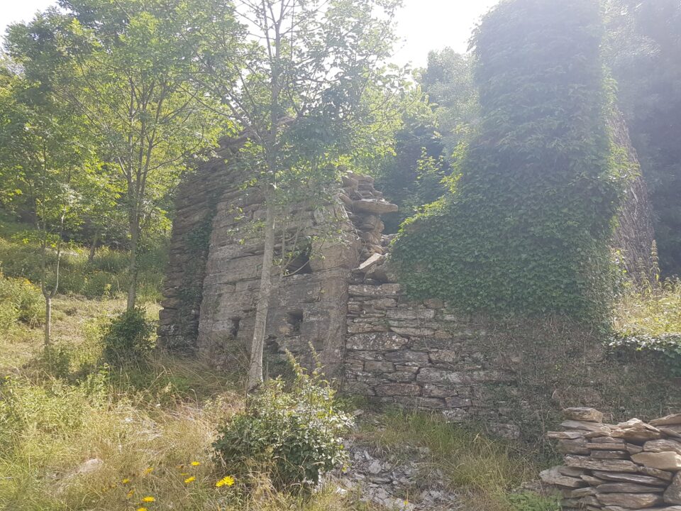 Ospitale2