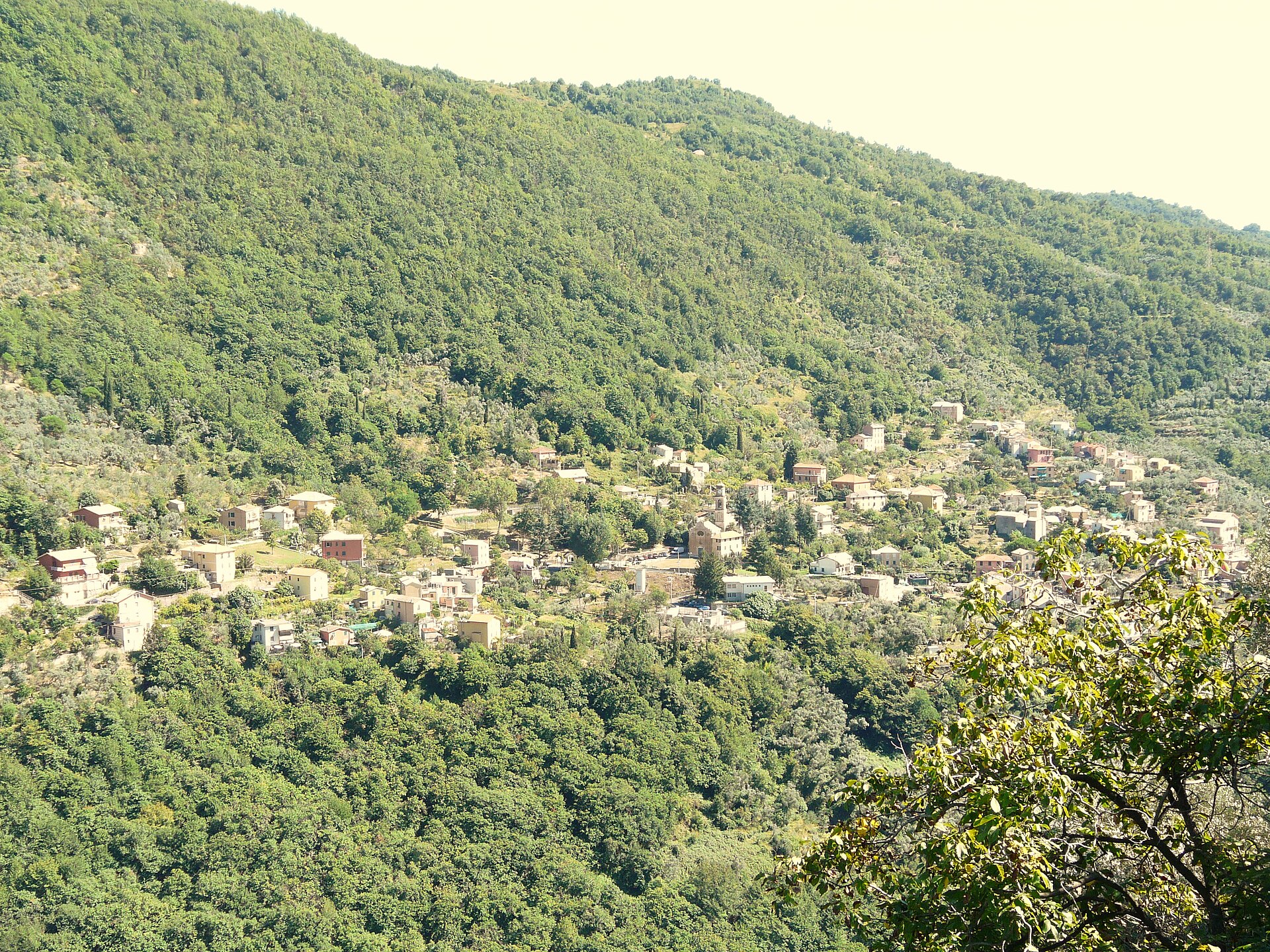 Capreno
